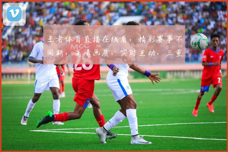 王者体育直播在线看，精彩赛事不间断，高清画质，实时互动，三重福利等你来