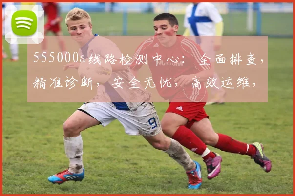 555000a线路检测中心：全面排查，精准诊断，安全无忧，高效运维，三大保障，一应俱全